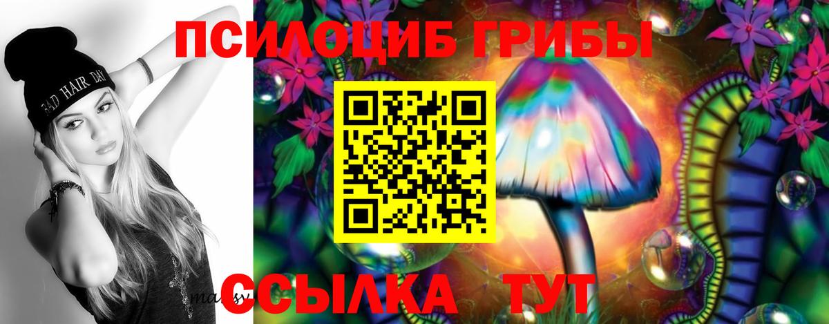 Псилоцибиновые грибы ЛСД Сертолово
